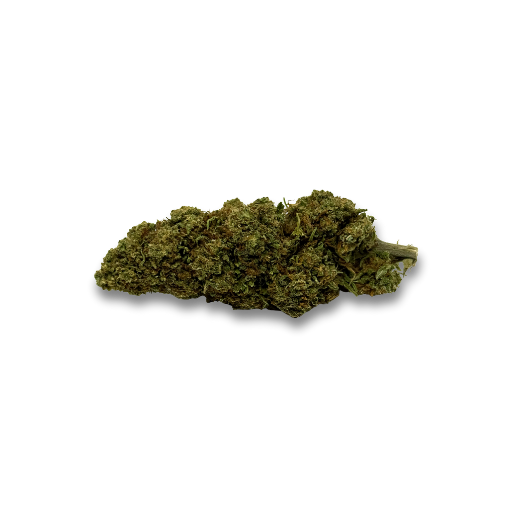 Orange Bud