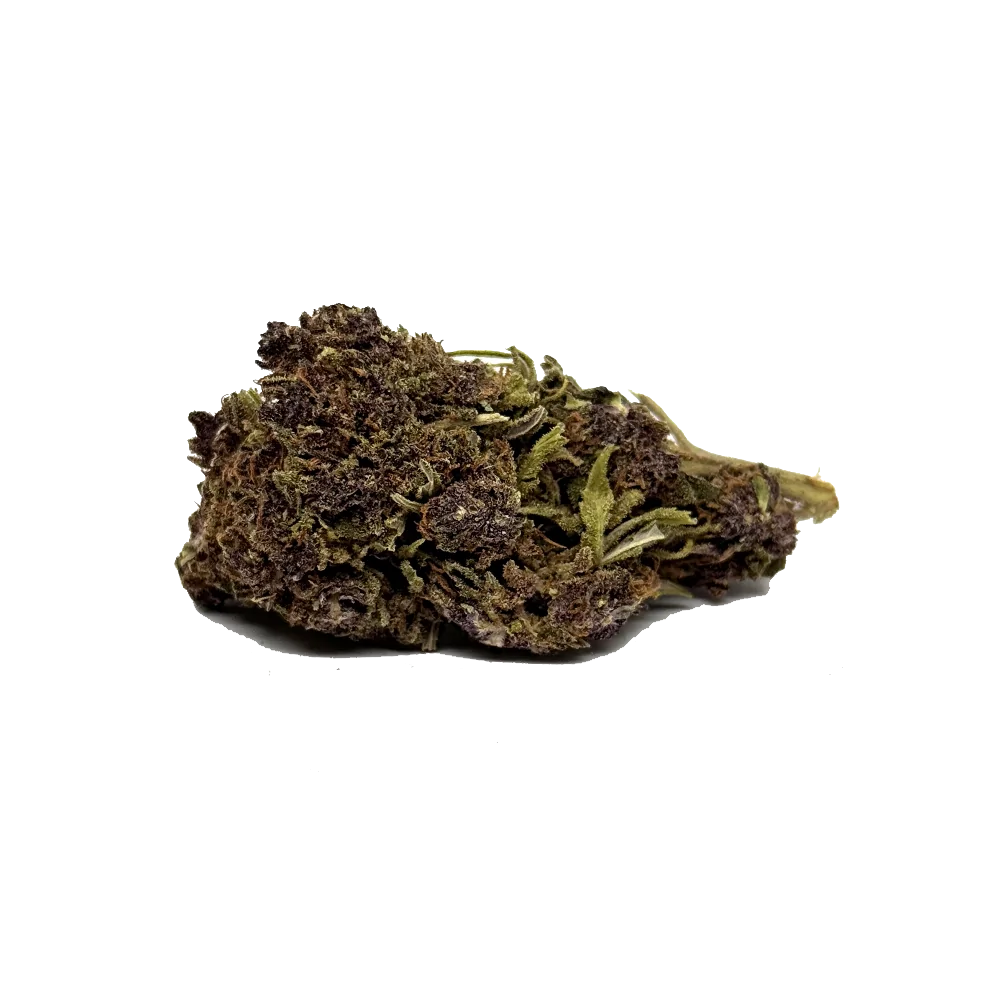 Purple Haze